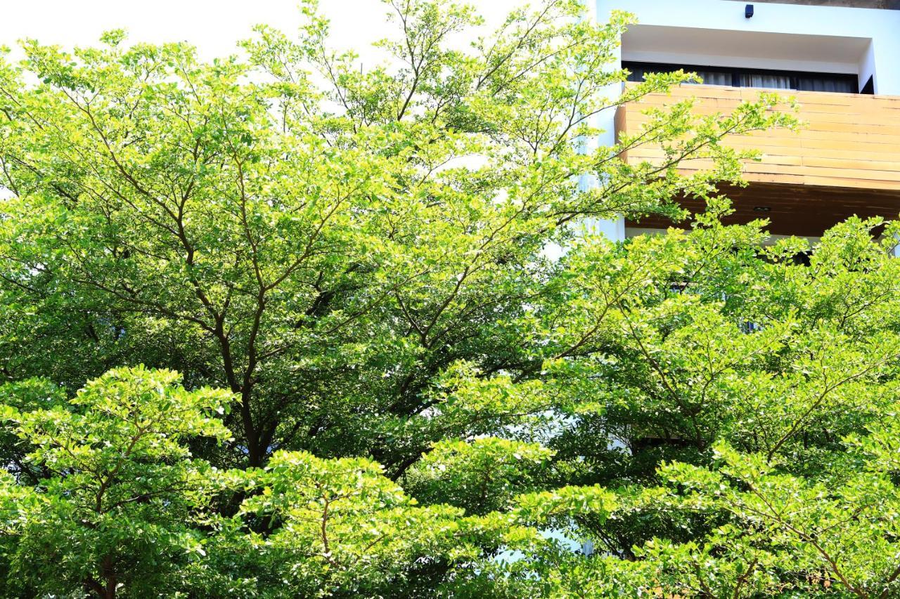 The Silver Palm Wellness Resort Bangkok Dış mekan fotoğraf